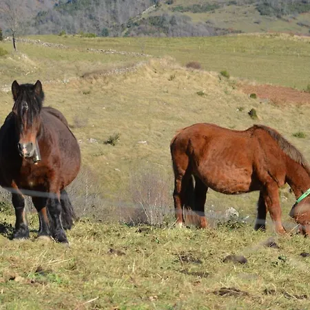Дом отдыха Mollo, Vall De Camprodon Мольо