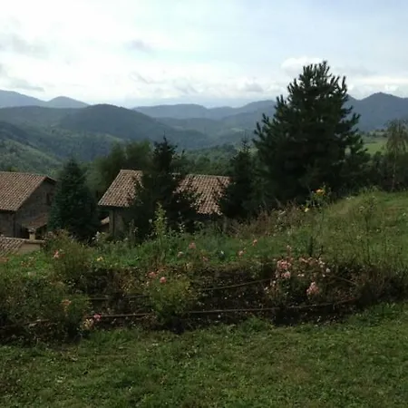 Mollo, Vall De Camprodon Holiday home