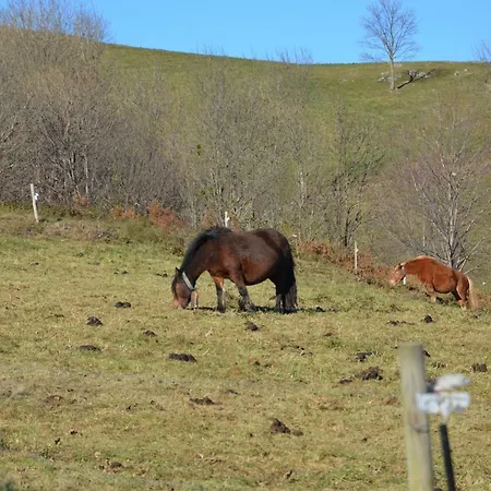 Mollo, Vall De Camprodon *